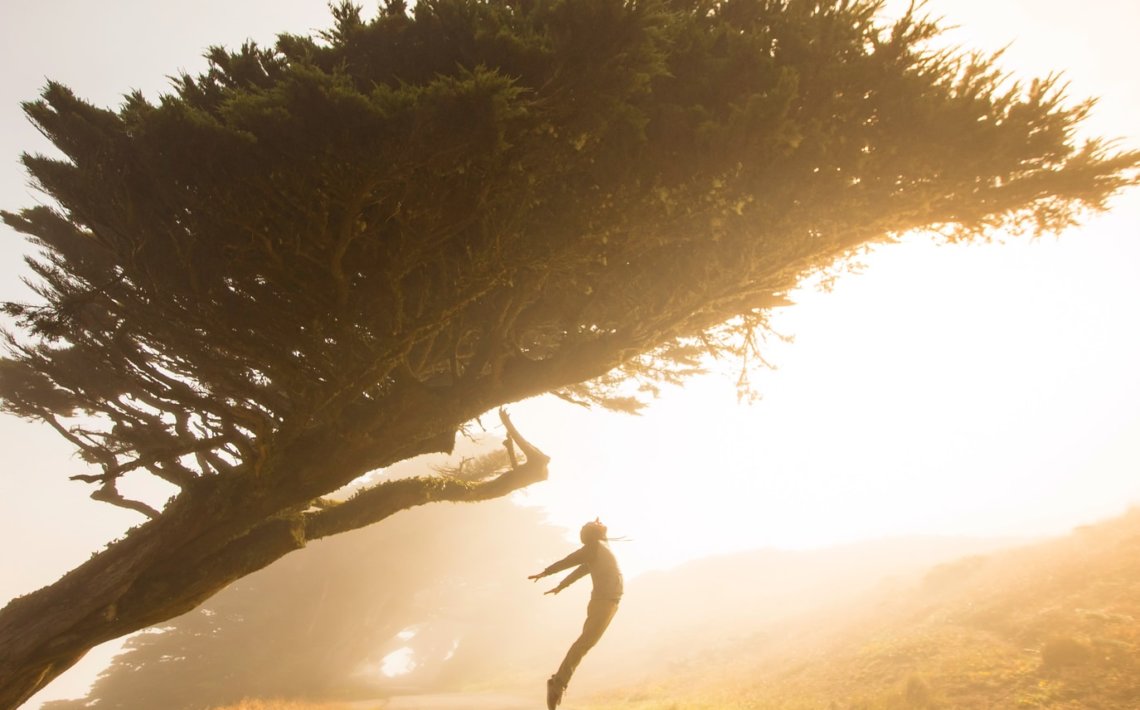 silhouette of person jumping under tree